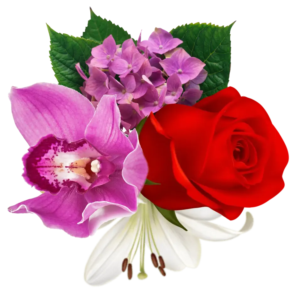 Beautiful bundle of flowers in a classic wedding bouquet